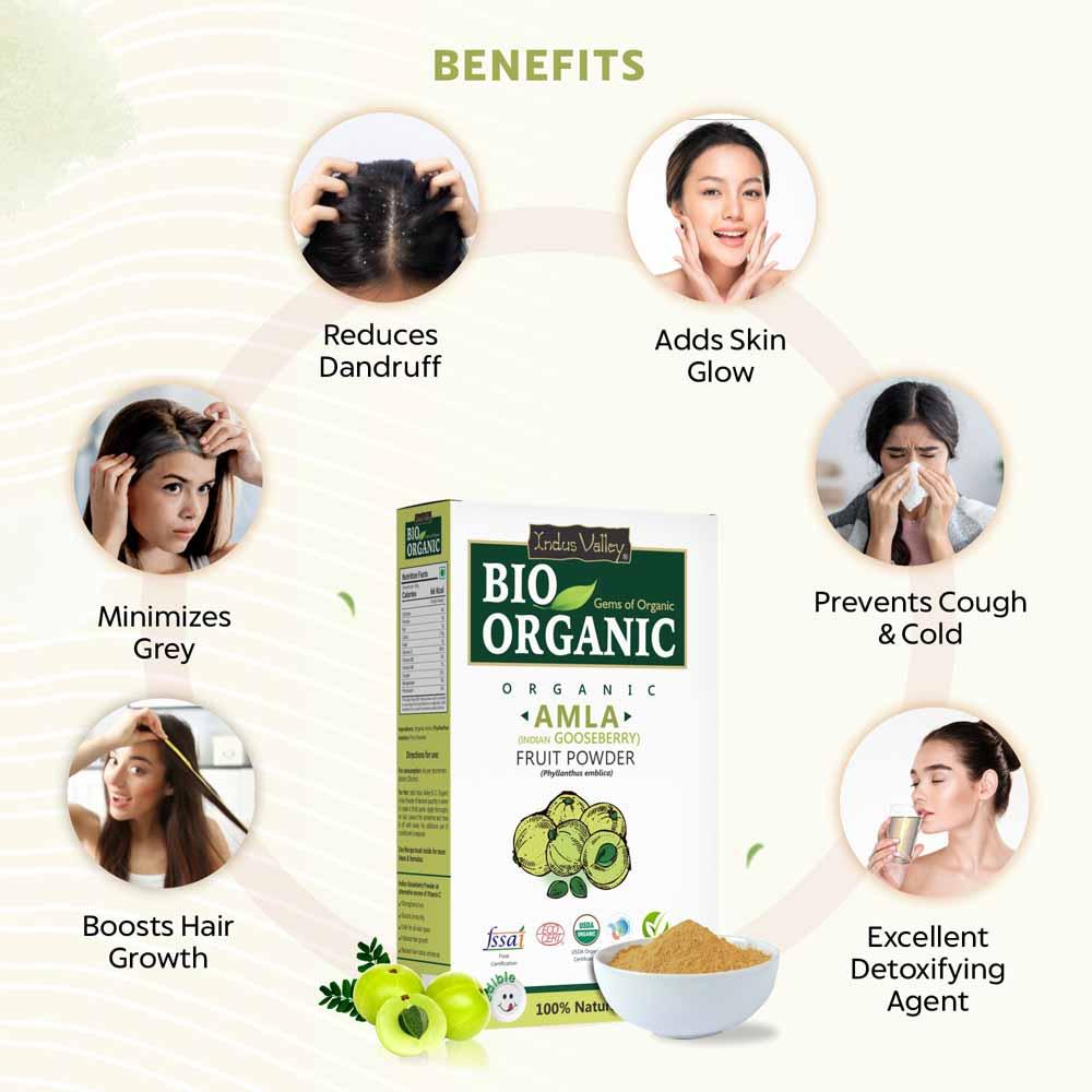 Bio Organic Amla Fruit Powder for Hair Growth and Skin - Image 2