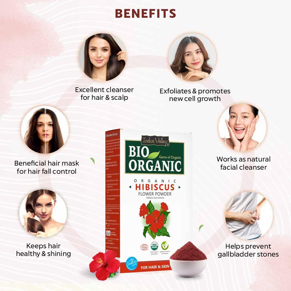 Bio Organic Hibiscus Flower Powder - 100gm - Image 3