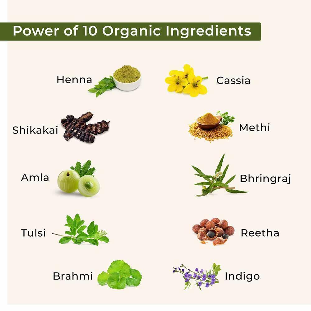 Bio Organic Herbal Henna Powder And Indigo Powder Combo - Image 3
