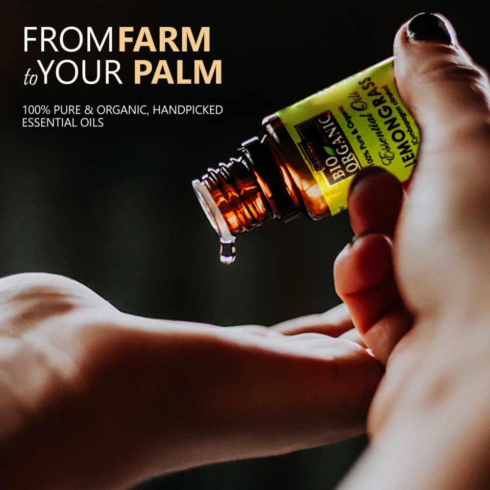 Essential Oils Gift Pack - Pack of 6 (10ml each) - Image 3